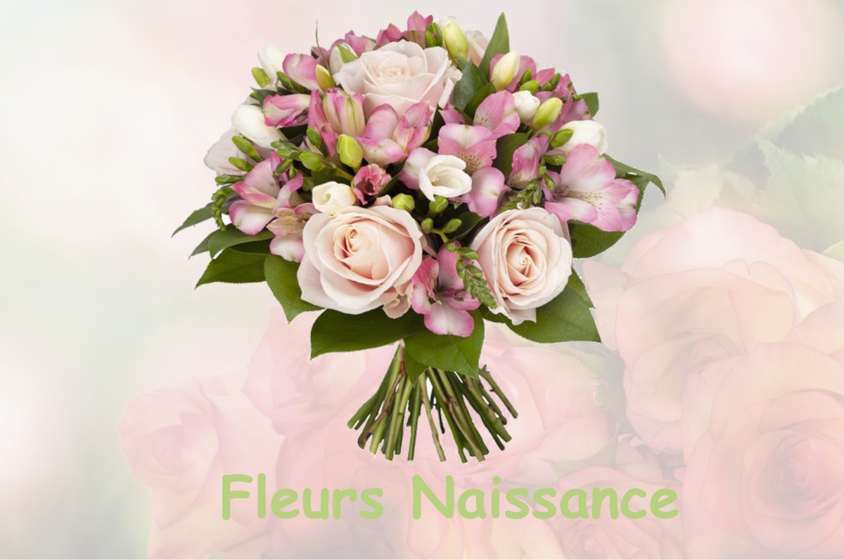 fleurs naissance FONTAINE-LES-BASSETS